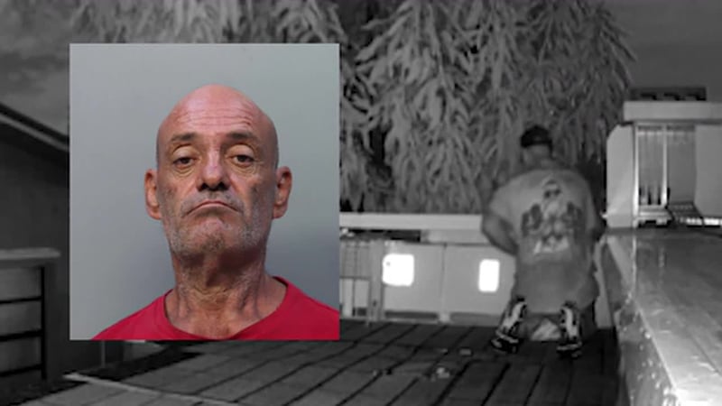 Acusan a hispano de robar decenas de palomas