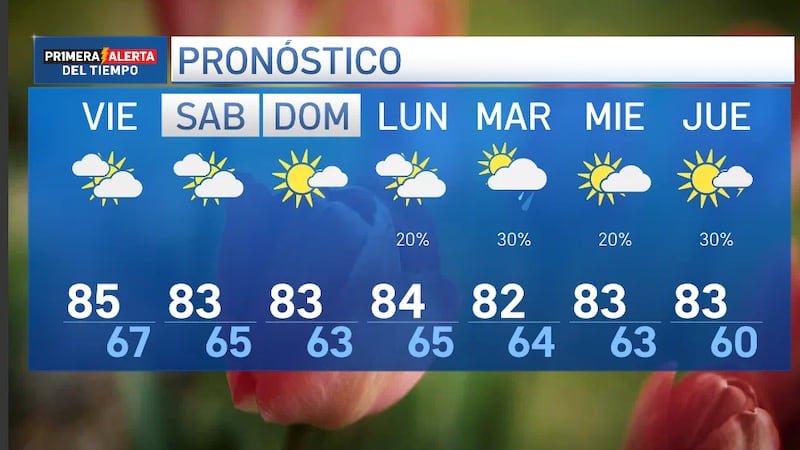 El polen continúa siendo el protagonista en nuestra región