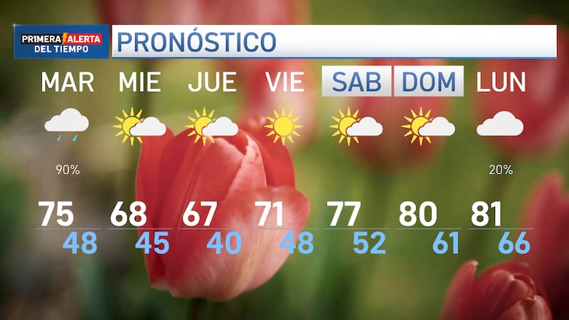 Los niveles de polen se mantienen altos