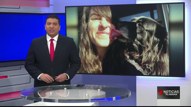 Una mujer del condado de Jefferson denunció crueldad animal luego de que la policía matara a...