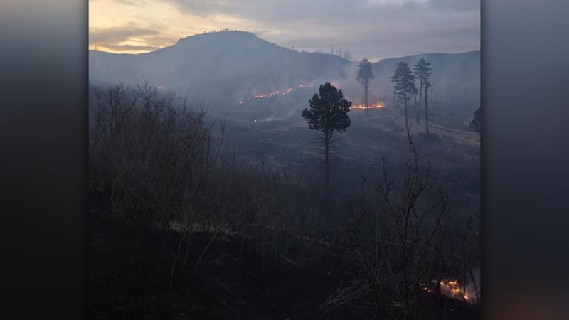 Governor Polis declares disaster emergency in response to 450-acre wildfire burning near Trinidad