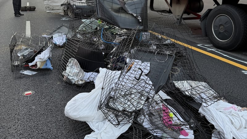 Mueren siete personas en un accidente en la I-85; víctimas eran hispanas.