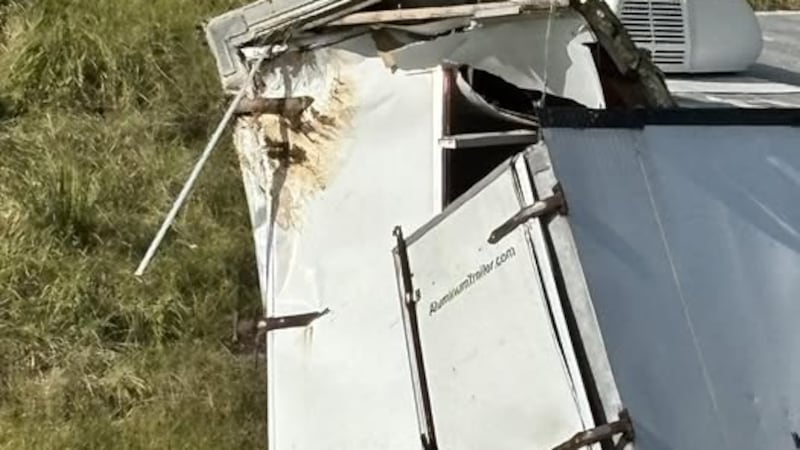 Officials said the animals weigh about 40 pounds each, are aggressive toward humans and...